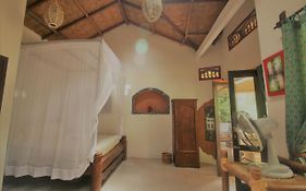 Jungle Tribe Guesthouse